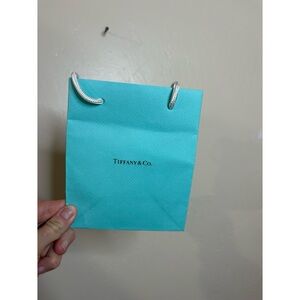 *Free With Purchase*Tiffany & Co Bag